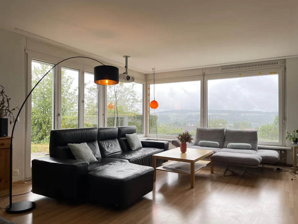 Spacious Room in a Friendly WG near Zurich
