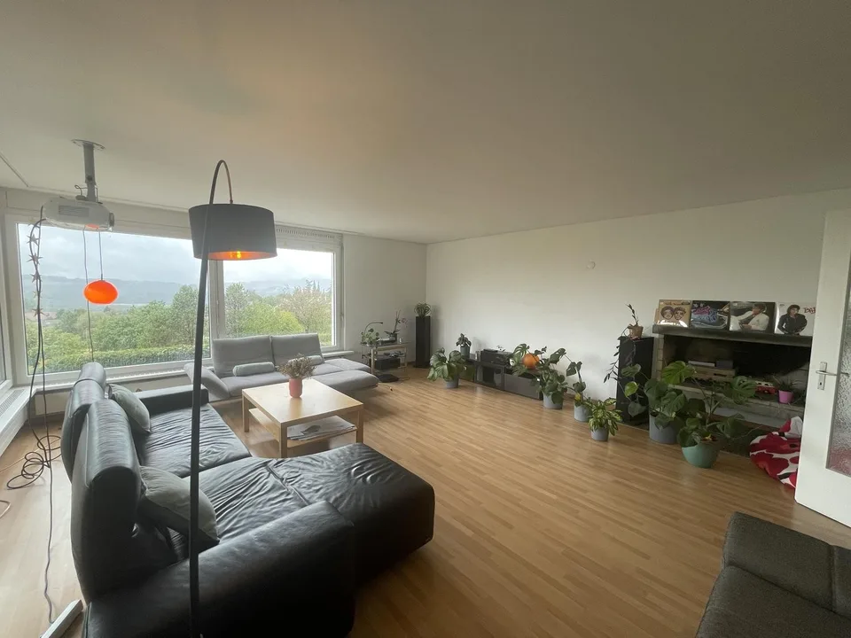 Spacious Room in a Friendly WG near Zurich