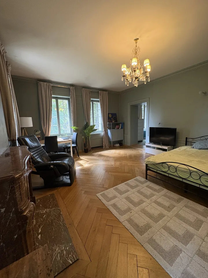 Character room - 40 m² - private bathroom in a castle