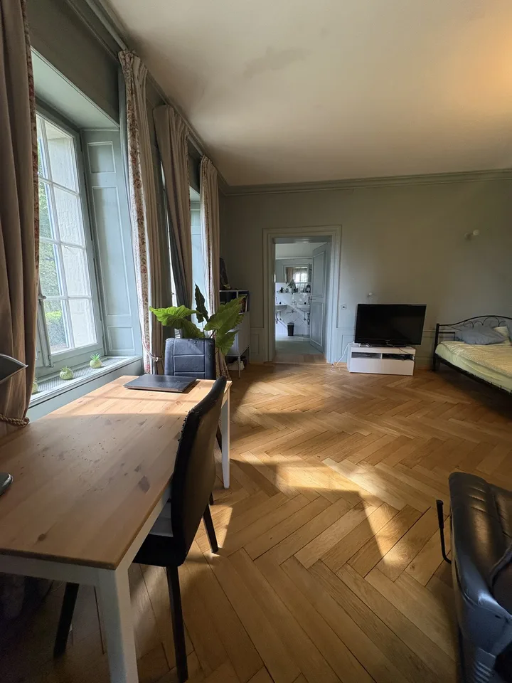 Character room - 40 m² - private bathroom in a castle
