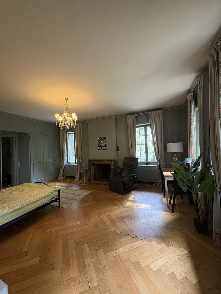 Character room - 40 m² - private bathroom in a castle