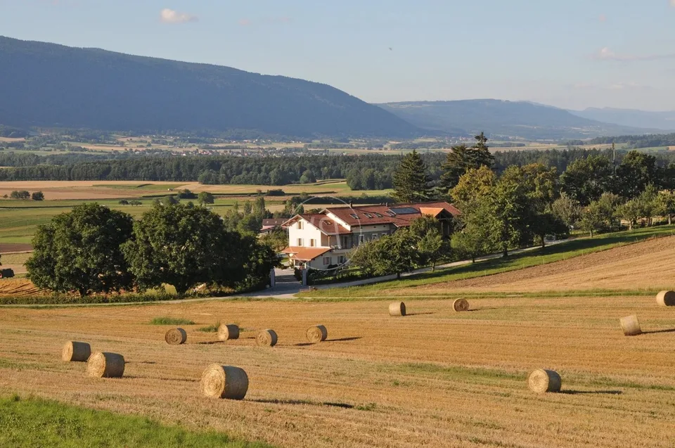 Elegant renovated farm with pool, close to Rolle