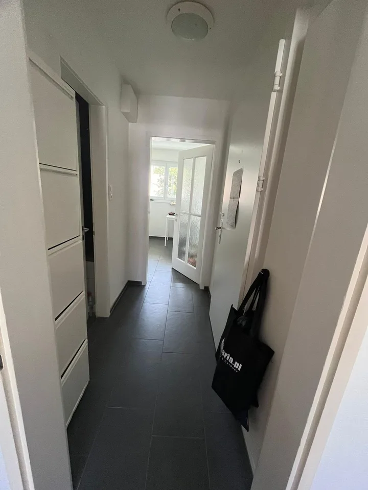 2 rooms apartment, 8135 Langnau Am Albis