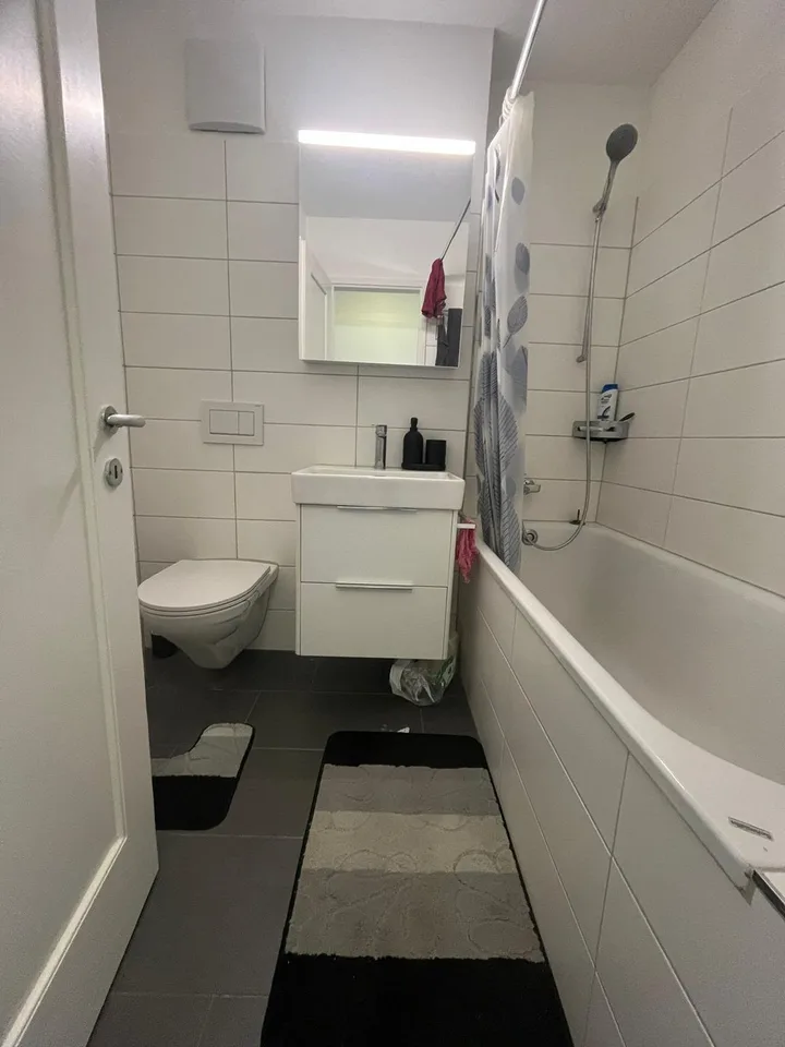 2 rooms apartment, 8135 Langnau Am Albis