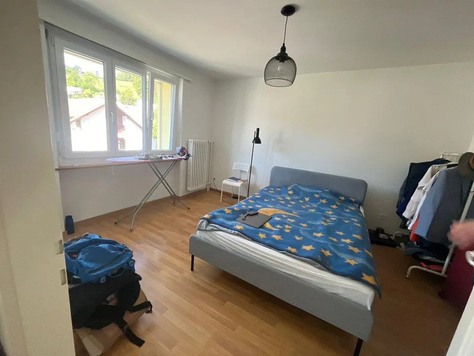 2 rooms apartment, 8135 Langnau Am Albis