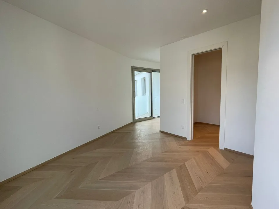Luxus-Penthouse mit Terrasse und Jacuzzi in Massagno – sofort verfügbar