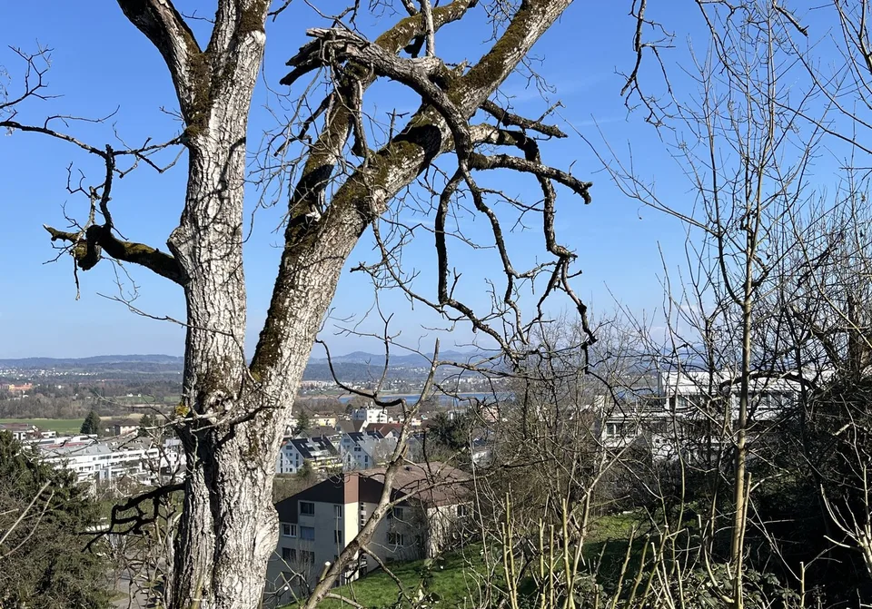 5.5-room maisonette apartment with garden seating area high above Lake Greifensee.