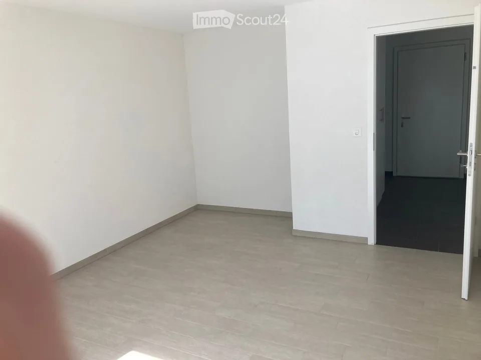 Wohnung zur Miete 2,5 Zimmer