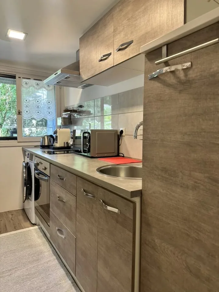 À louer - Appartement / Tiny House meublé à Feigères