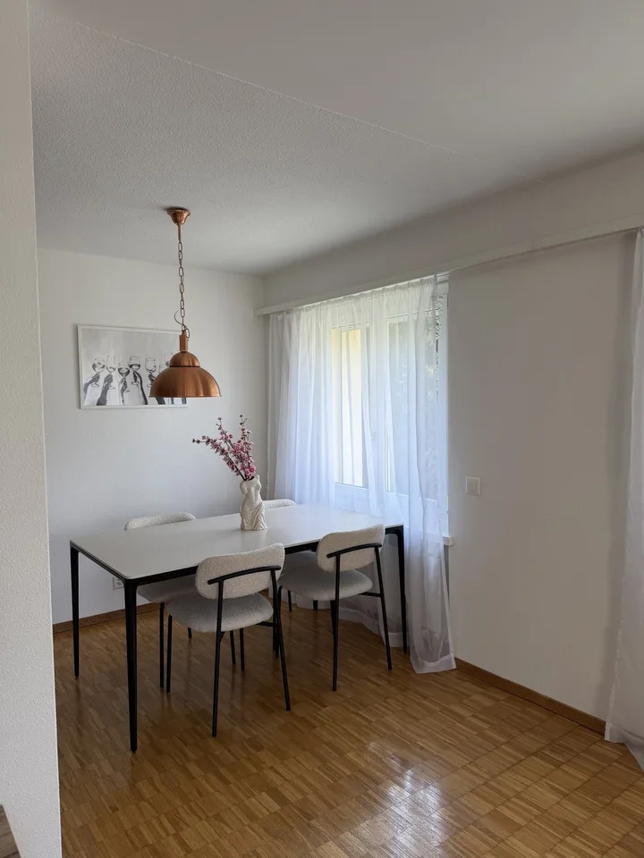 Möblierte 2.5-Zimmer-Wohnung an ruhiger Lage in Thalwil