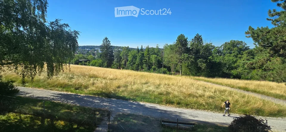 Spacious 5-room apartment with balcony and beautiful view in Zürich-Witikon