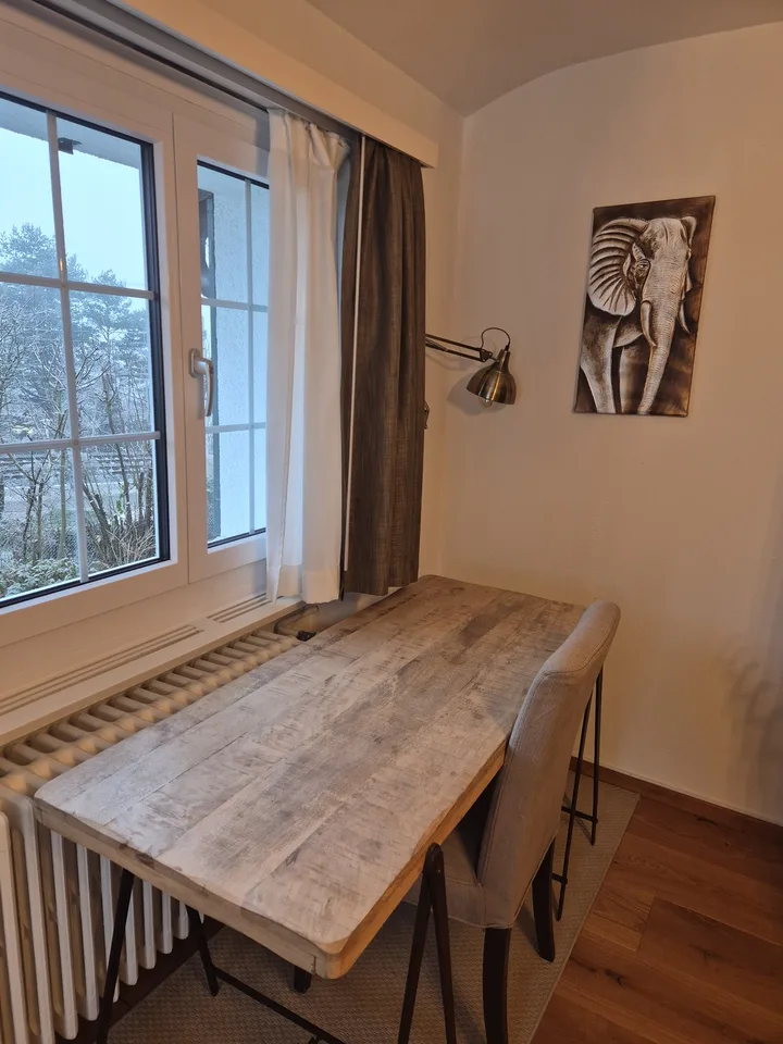 Room in a shared house, Urdorf