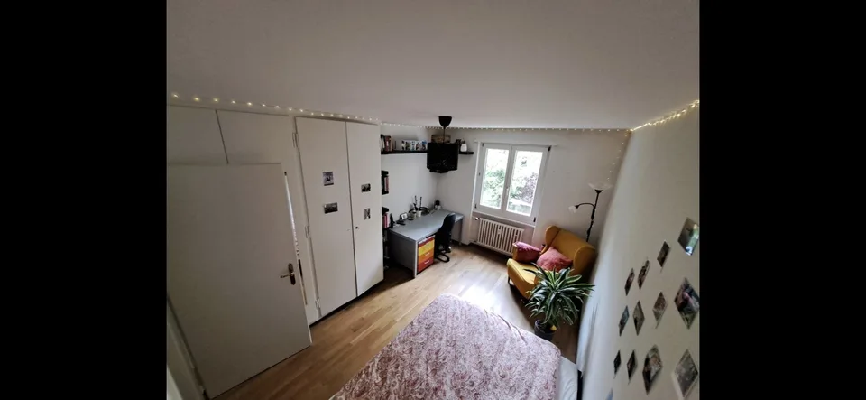 Tenant sought for cozy 3.5-room apartment from September 1st