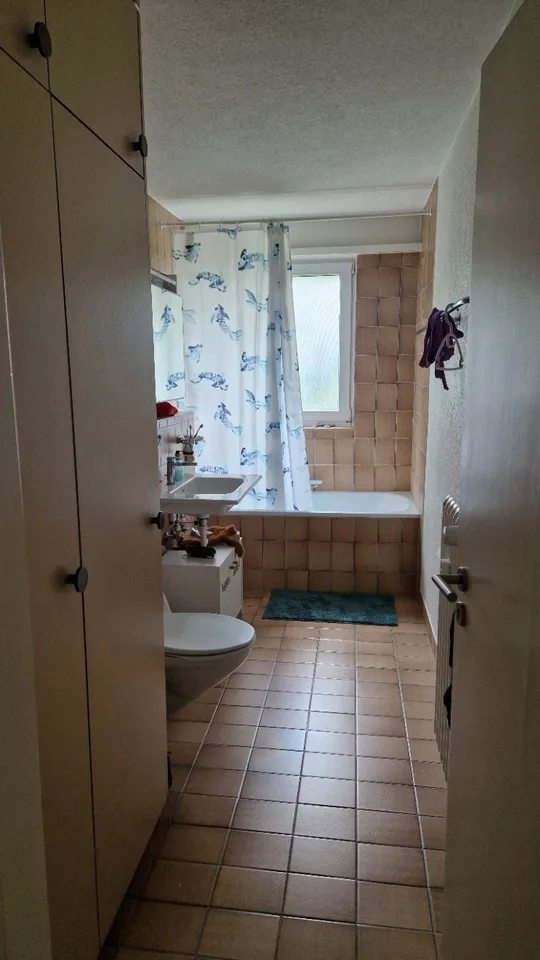 Tenant sought for cozy 3.5-room apartment from September 1st