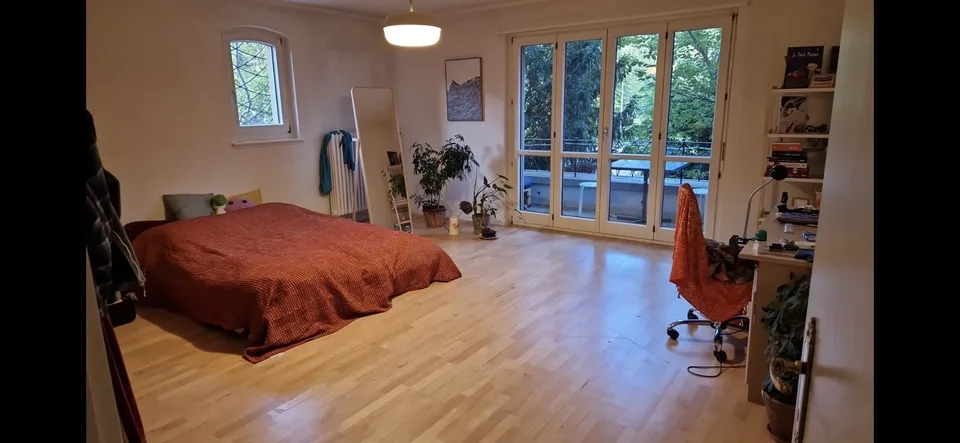 Tenant sought for cozy 3.5-room apartment from September 1st