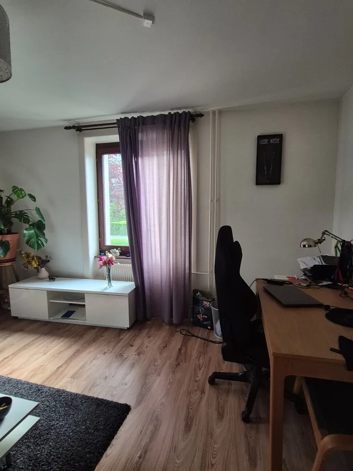 Furnished Room to Sublet in Wiedikon Available from 01.12.2025