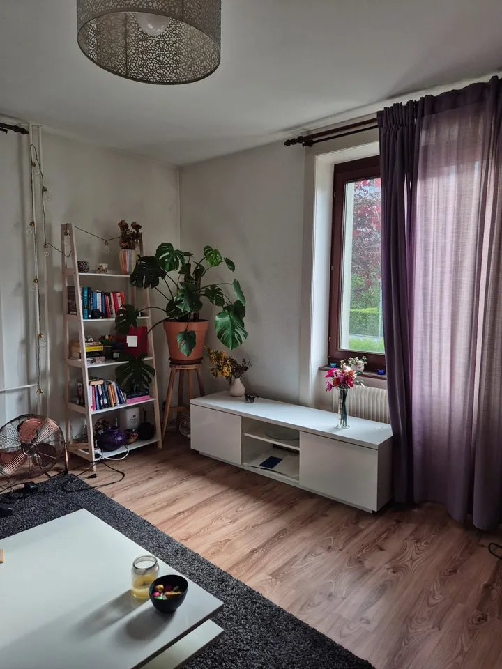 Furnished Room to Sublet in Wiedikon Available from 01.12.2025