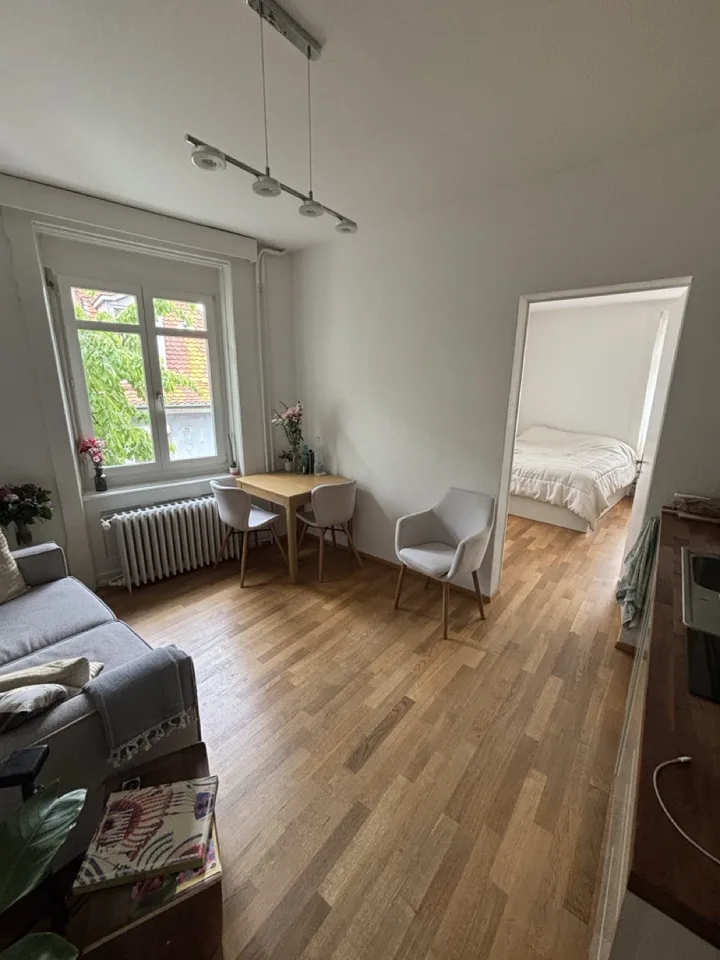 2 rooms flat - Kreis 6