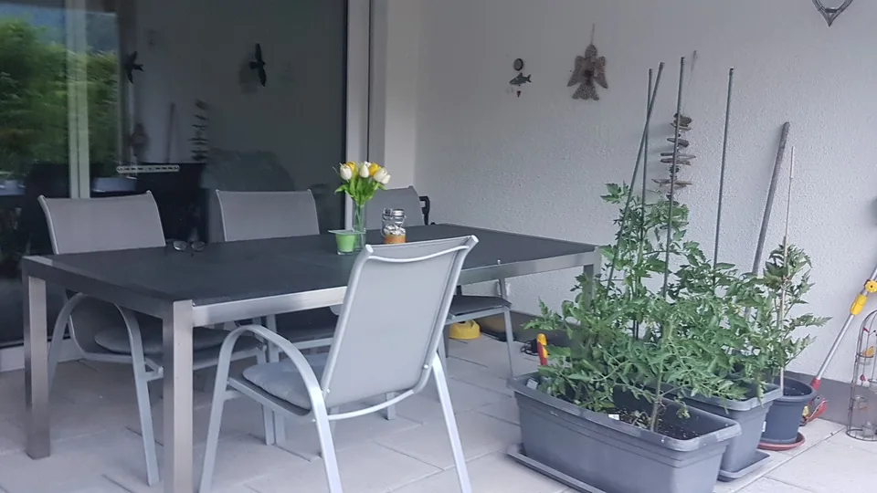 Flatmate wanted