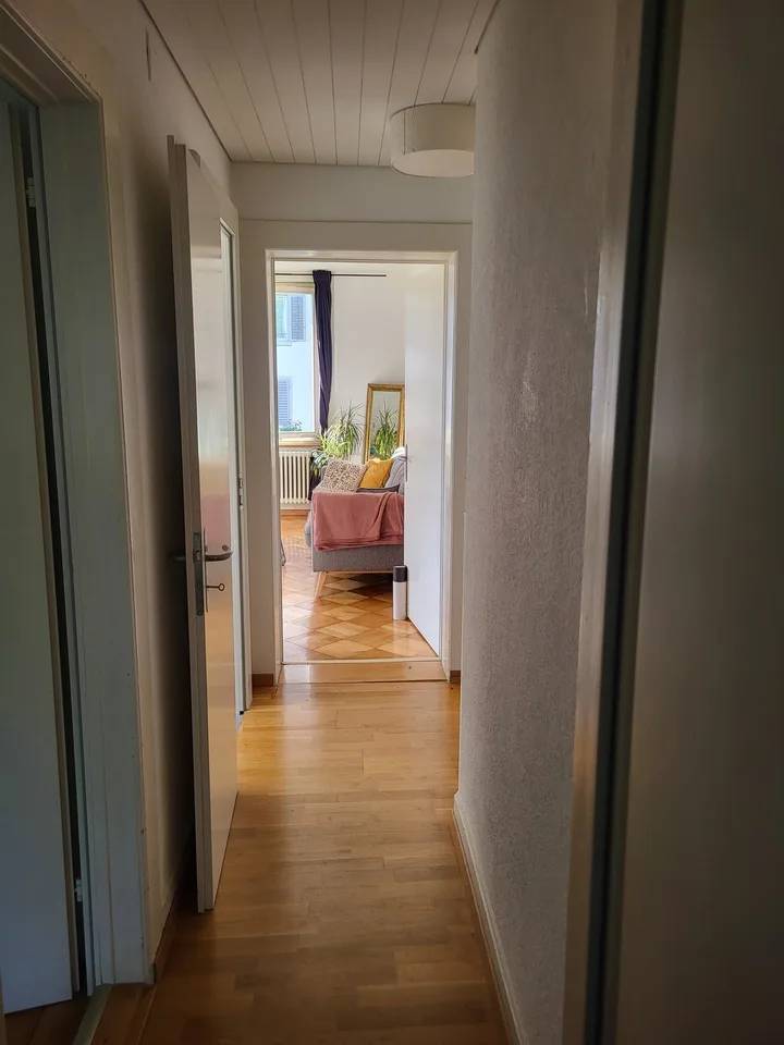Room for sublet in charming apartment on the Limmat