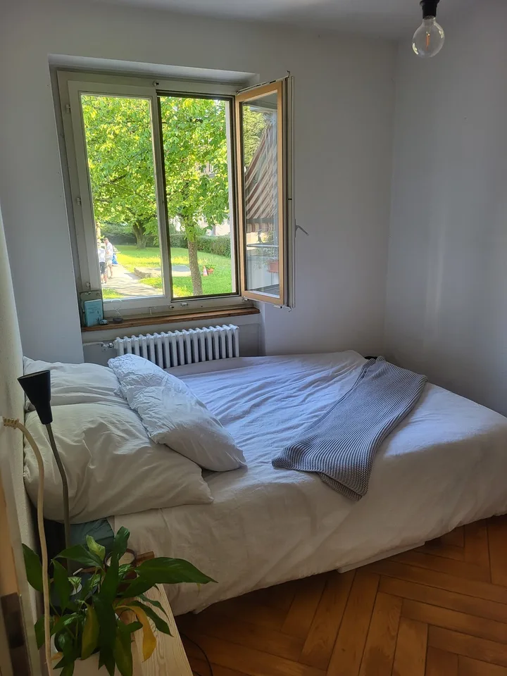 Room for sublet in charming apartment on the Limmat
