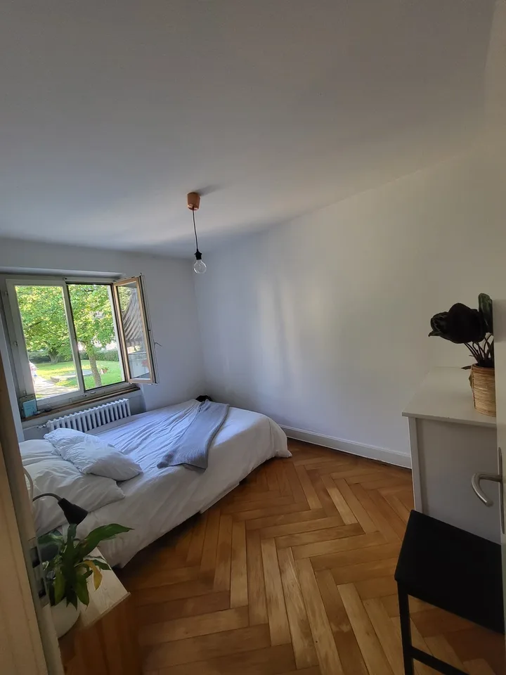 Zimmer zur Untermiete in charmanter Wohnung an der Limmat