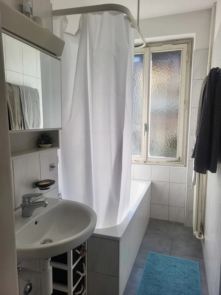 Room for sublet in charming apartment on the Limmat