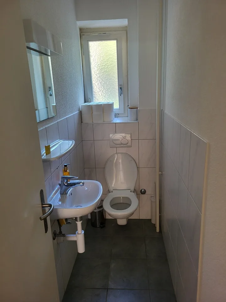Room for sublet in charming apartment on the Limmat