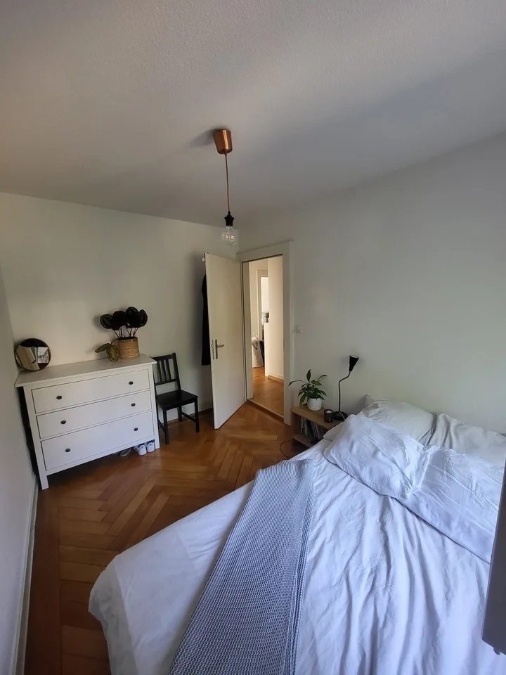 Room for sublet in charming apartment on the Limmat
