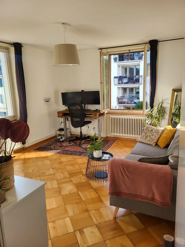Room for sublet in charming apartment on the Limmat