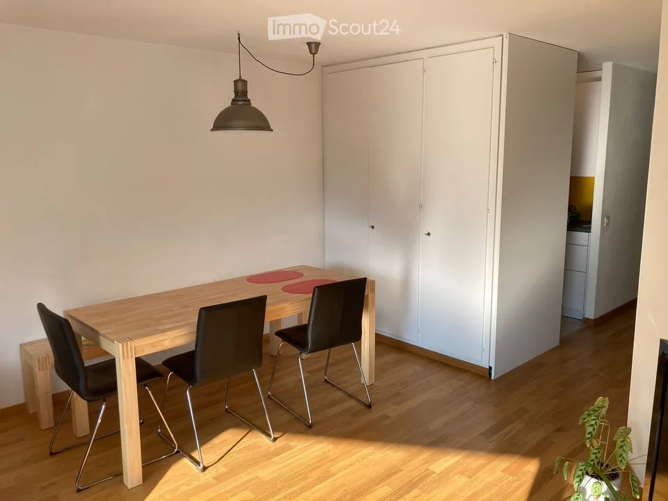 2-Zimmer-Wohnung im Marzili
