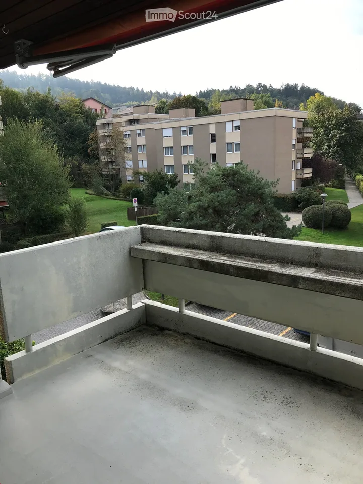 3 1/2 - Zimmer - Dachwohnung
