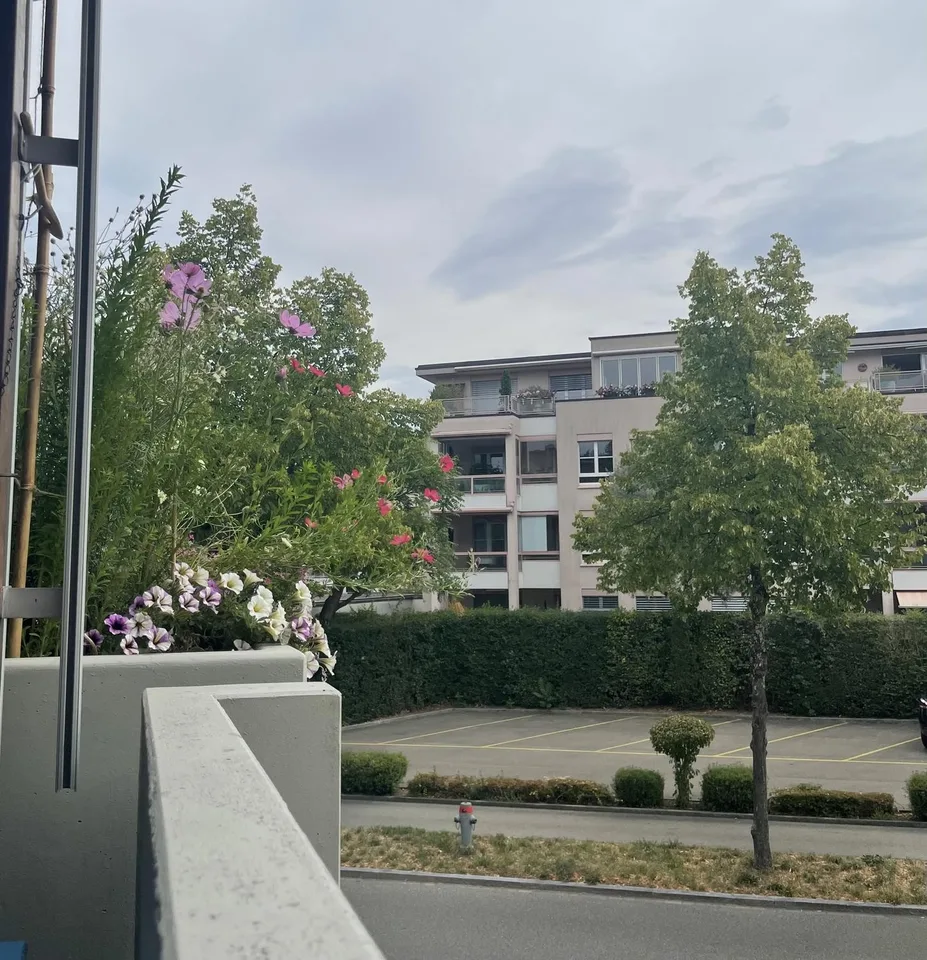 Ampio appartamento di 1,5 locali