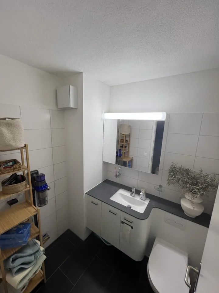Appartamento di 3 ½ locali, 8610 Uster