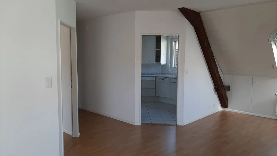 3-room apartment on Gundeldingerstrasse next to Margarethenpark