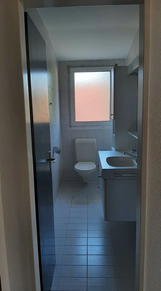 3-room apartment on Gundeldingerstrasse next to Margarethenpark
