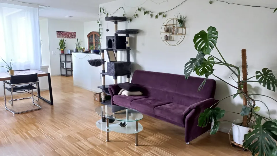 WG Zimmer in 5.5-Zimmer-Wohnung