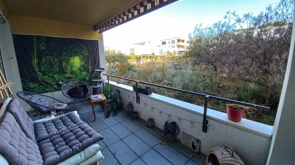 WG Zimmer in 5.5-Zimmer-Wohnung