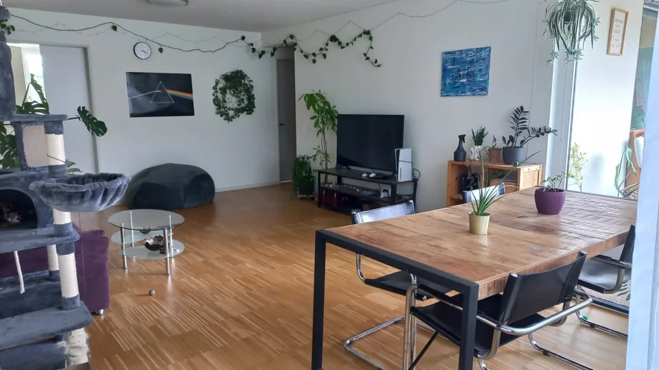 WG Zimmer in 5.5-Zimmer-Wohnung