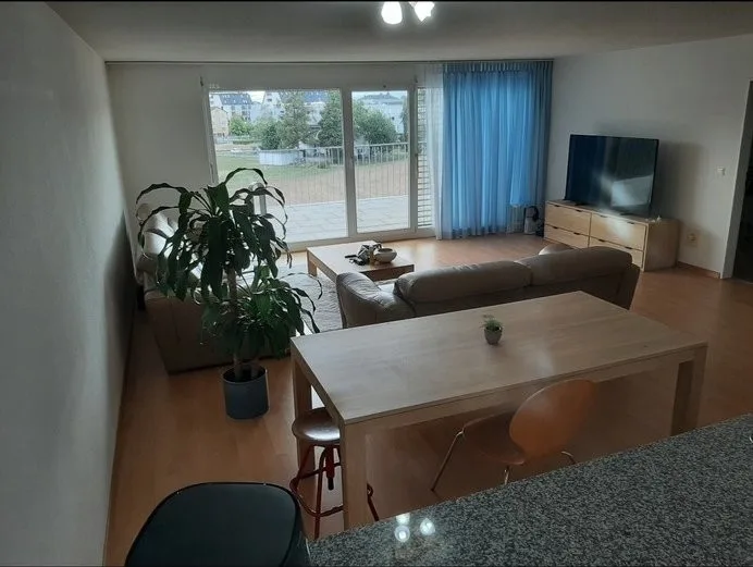 Nachmieter für 3.5 Zimmer Attikawohnung in Uster gesucht
