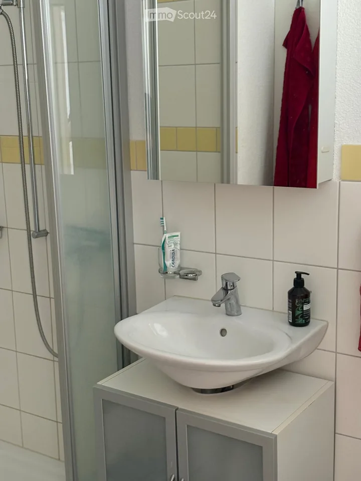 Spacious sunny and quiet apartment for 2 to 4 people
