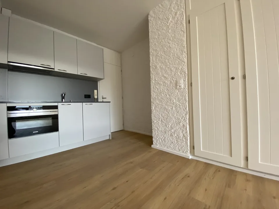 1 Bedroom Apartment, 3013 Bern