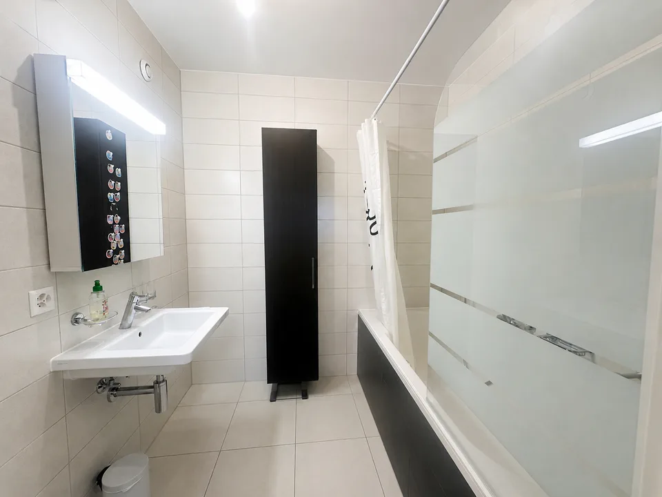 Spacious 5-room attic apartment with breathtaking view – Geneva 1203