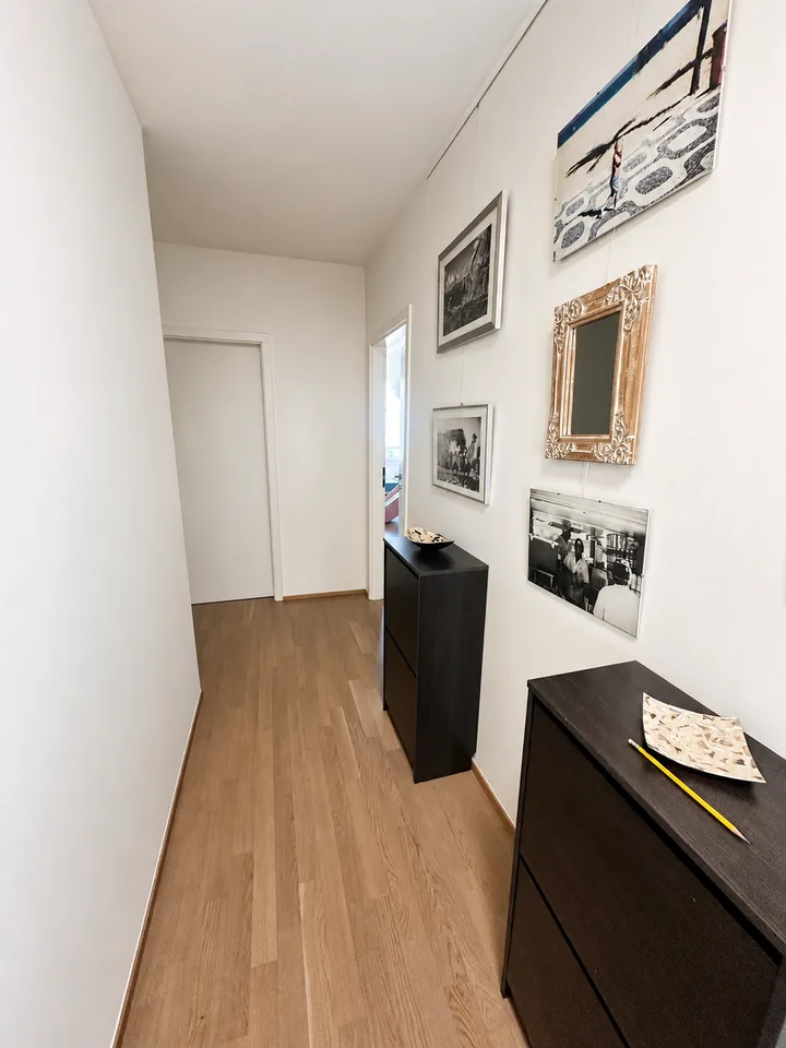 Spacious 5-room attic apartment with breathtaking view – Geneva 1203