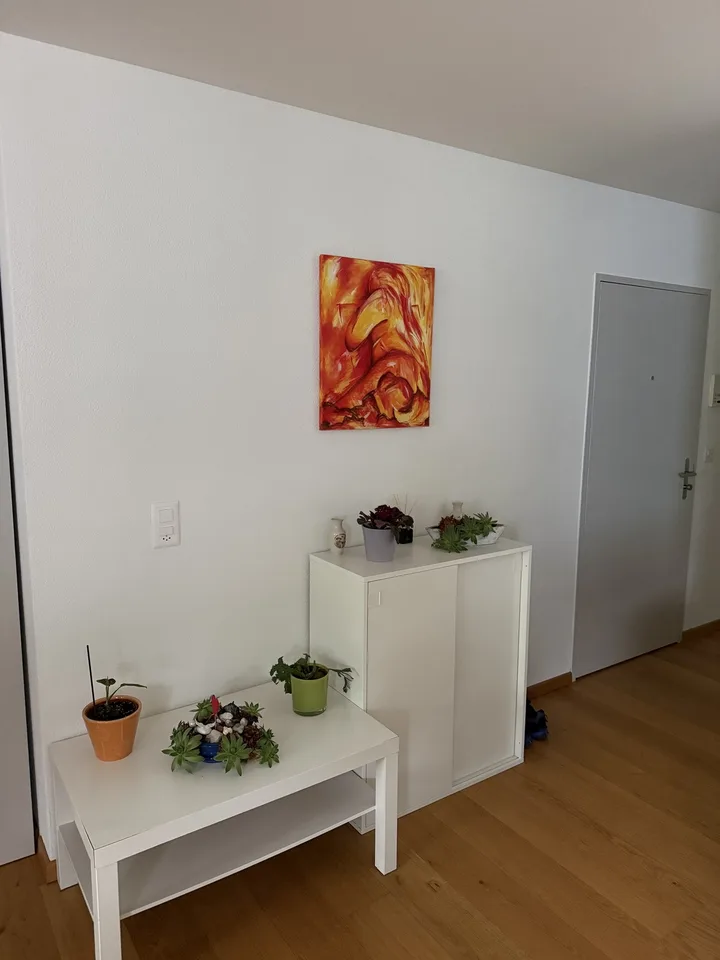 Room in a shared flat, 8052 Zurich