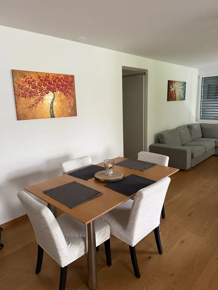 Room in a shared flat, 8052 Zurich