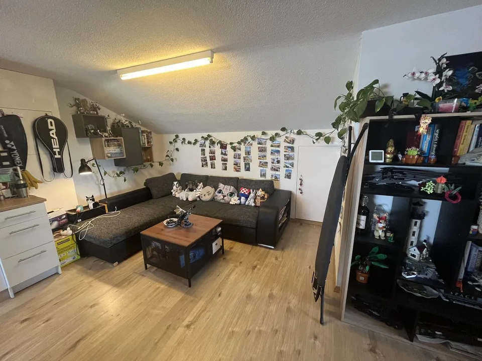 2.5 room apartment in Zurich Affoltern