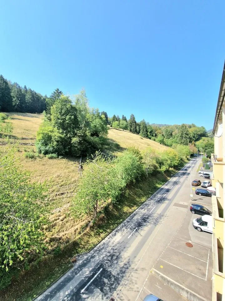 Appart lumineux avec grand balcon (Canton de Berne)