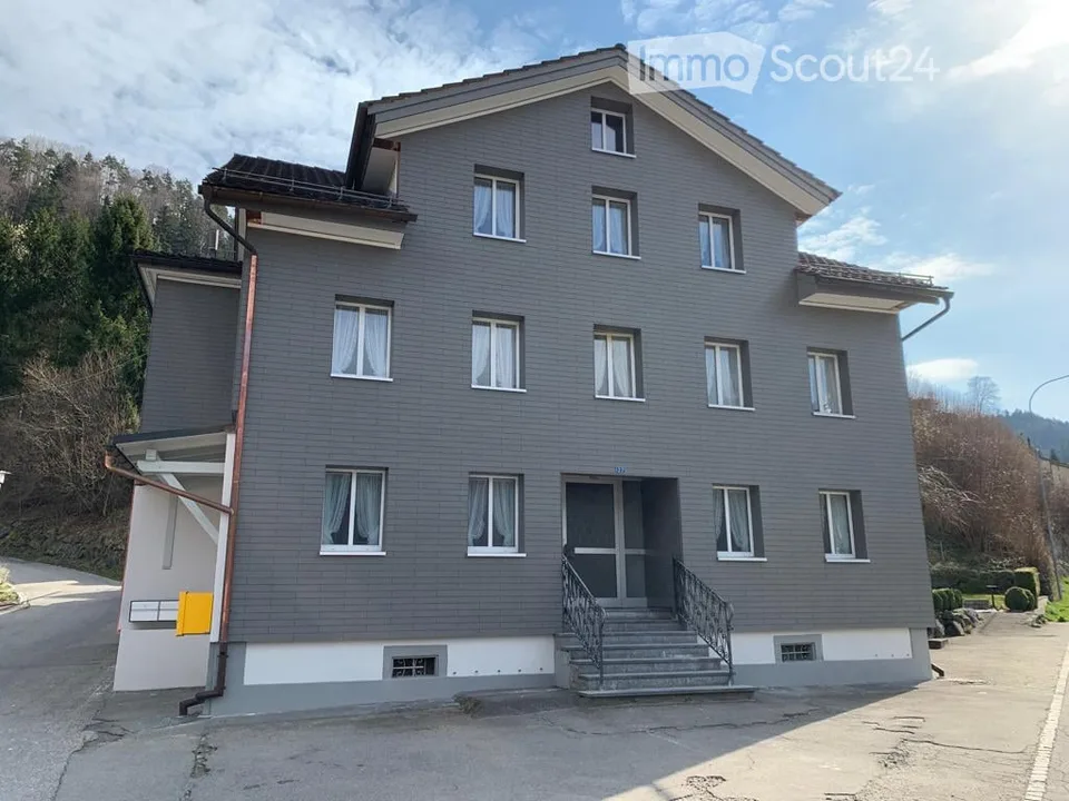 Charmante 3.5-Zimmer-Wohnung in Necker – Tierfreundlich & Familiengerecht