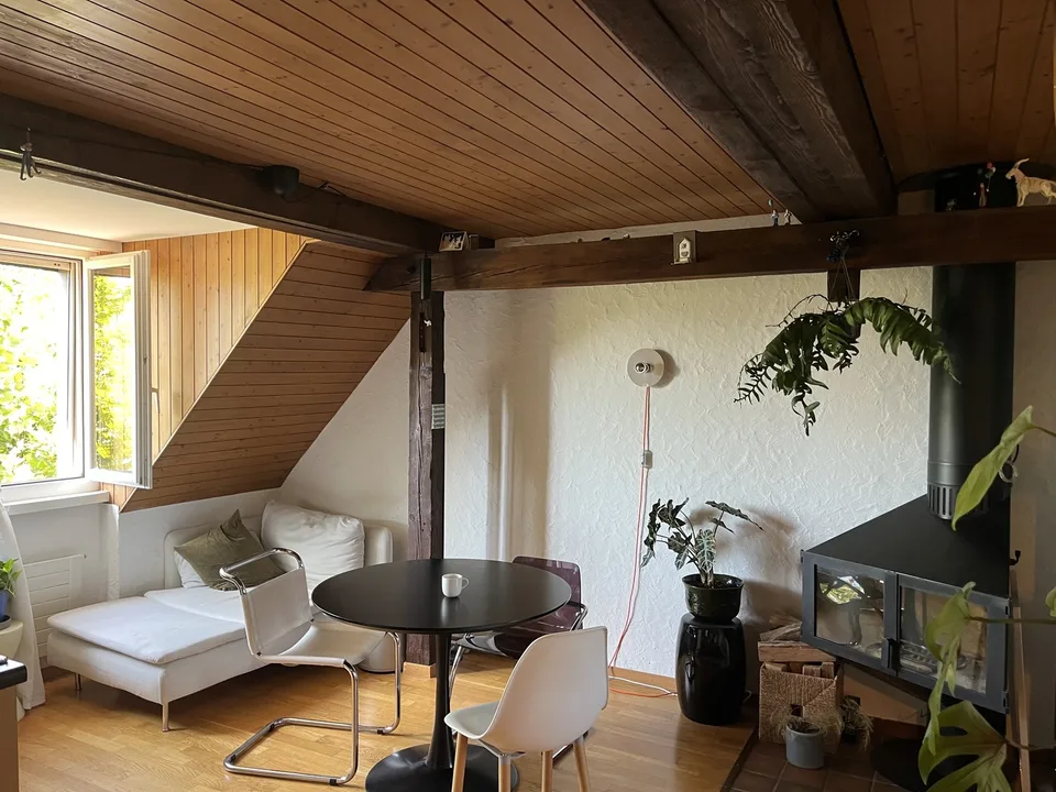 Furnished long term sublet in Lochergut